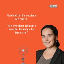 Upcycling plastic waste thanks to insects