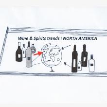 The Vinexpo Study on North America: the US boosts global consumption, while Canada imports massively